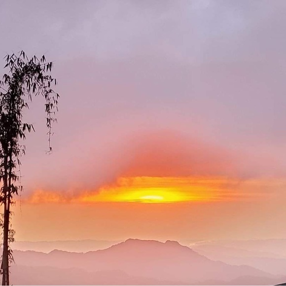 Meet your Posher - Picture 2 of 2